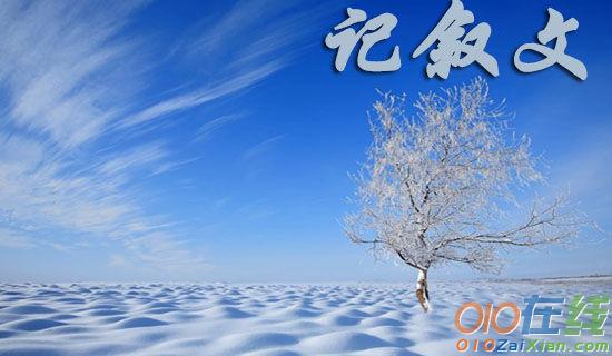 今年的第一场雪记叙文