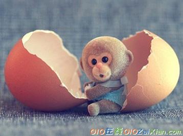 猴子偷鸡蛋的寓言故事