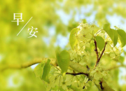 客戶周末早安心語