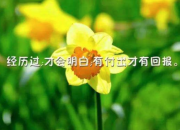 人生感悟的早安心語