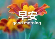 創(chuàng)業(yè)勵(lì)志的早安心語