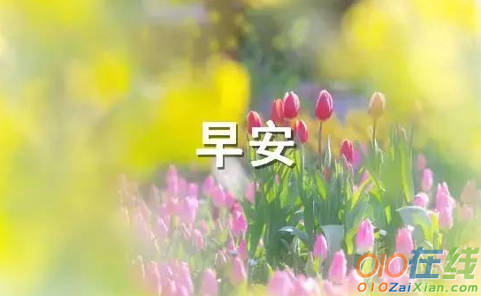 发朋友圈早安的句子