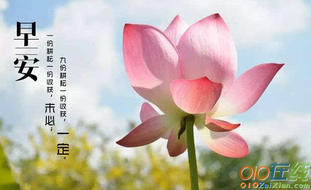 发朋友圈早安的句子